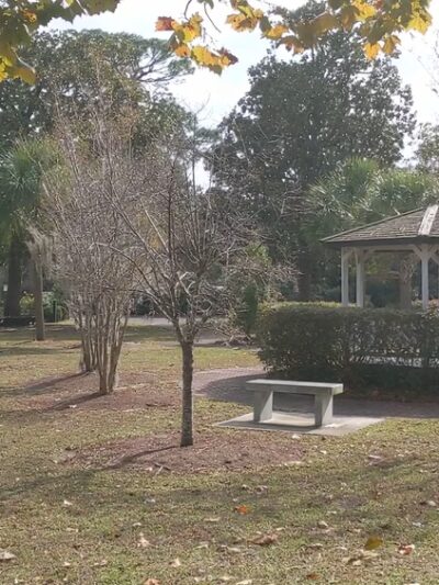Park Circle - North Charleston, SC