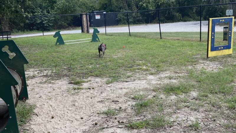 Riverfront Park Dog Park - North Charleston, SC