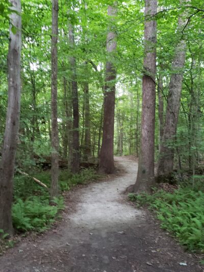 Rockwood Nature Center - North Chesterfield, VA