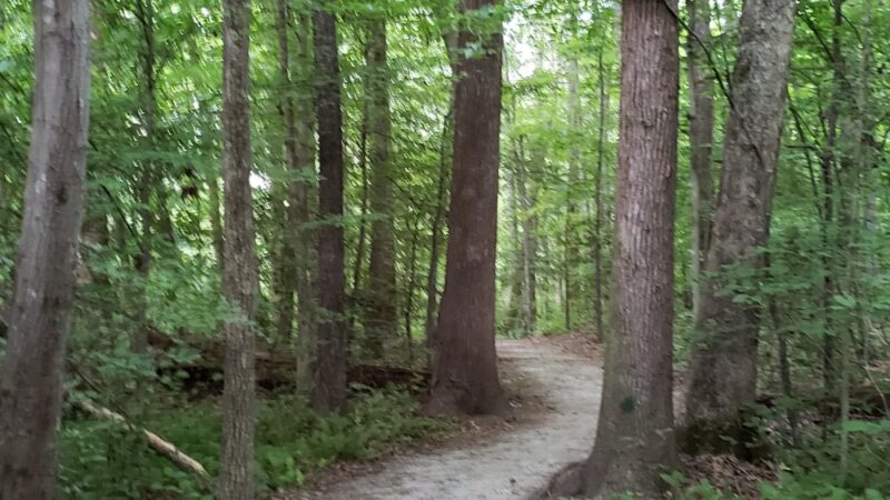 Rockwood Nature Center - North Chesterfield, VA