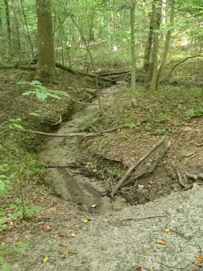 Rockwood Nature Center - North Chesterfield, VA