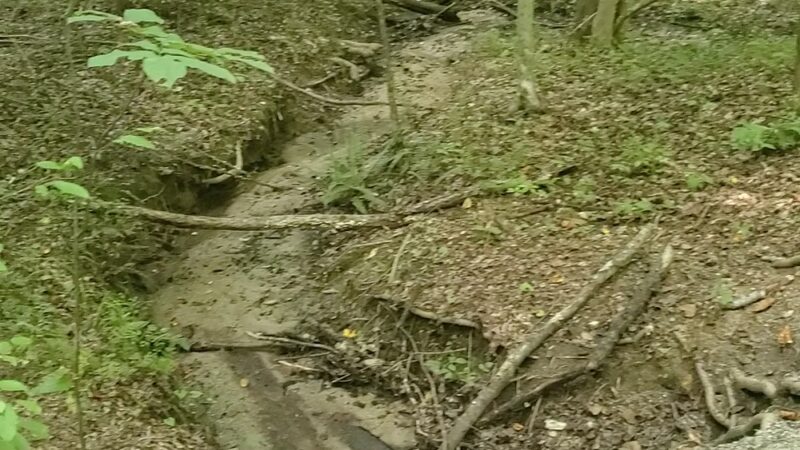 Rockwood Nature Center - North Chesterfield, VA