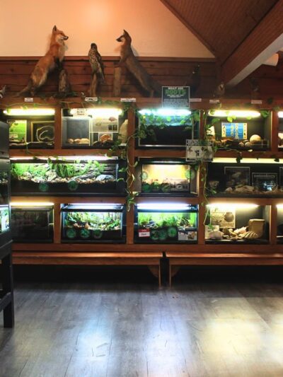 Rockwood Nature Center - North Chesterfield, VA