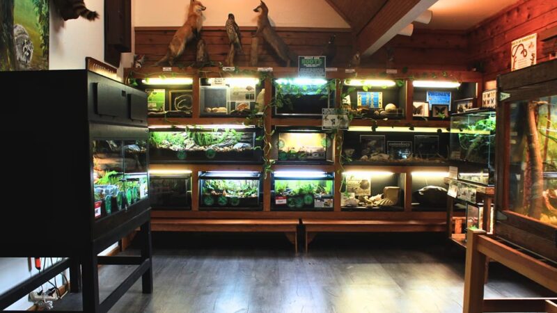 Rockwood Nature Center - North Chesterfield, VA