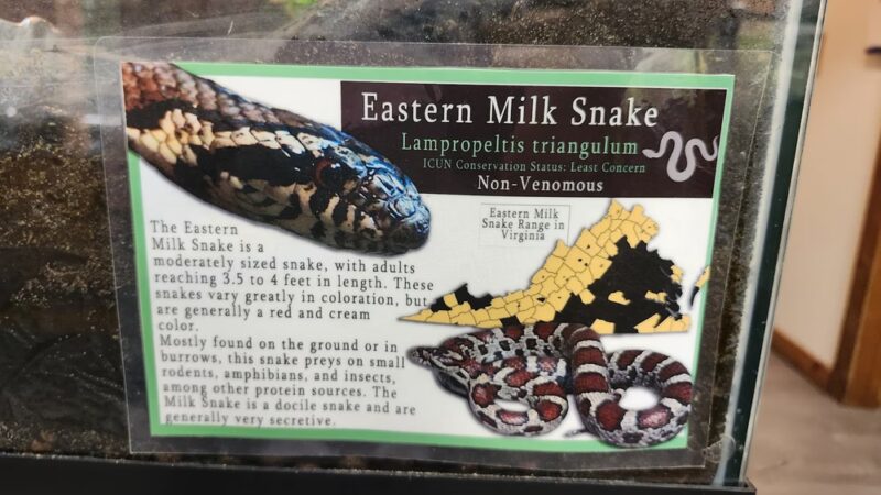 Rockwood Nature Center - North Chesterfield, VA