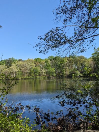 Rockwood Nature Center - North Chesterfield, VA