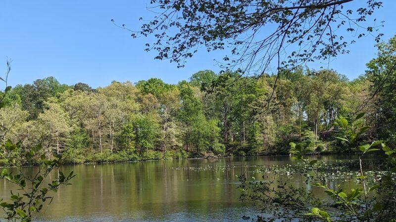 Rockwood Nature Center - North Chesterfield, VA