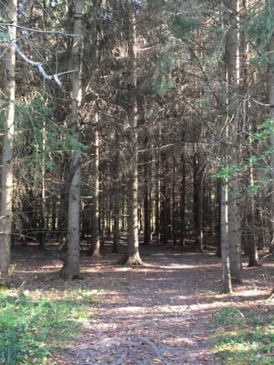 Black Creek Park - North Chili, NY