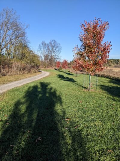 Black Creek Park - North Chili, NY