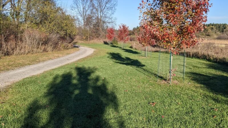 Black Creek Park - North Chili, NY