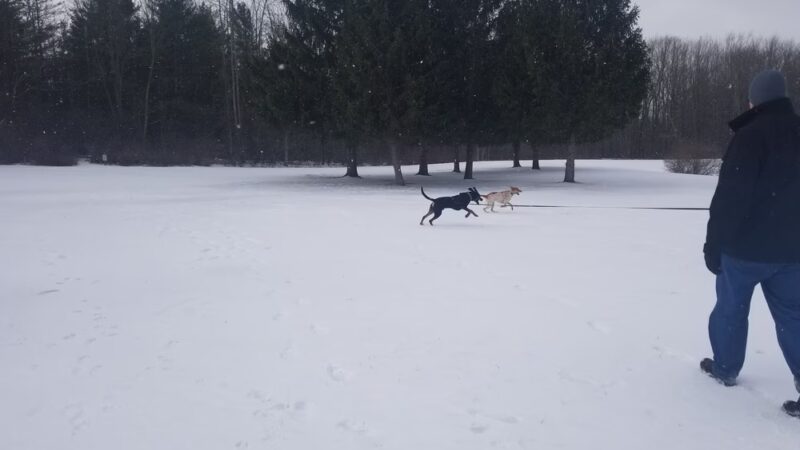 Black Creek Park - North Chili, NY