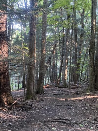 Franklin Gulf Park TH - North Collins, NY