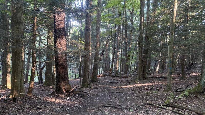 Franklin Gulf Park TH - North Collins, NY