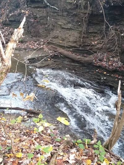 Franklin Gulf Park TH - North Collins, NY