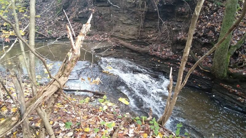 Franklin Gulf Park TH - North Collins, NY
