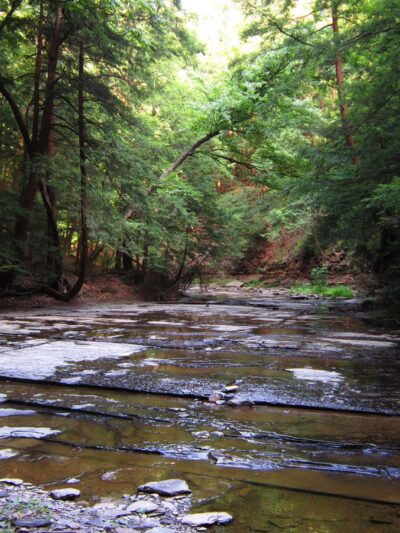 Franklin Gulf Park TH - North Collins, NY