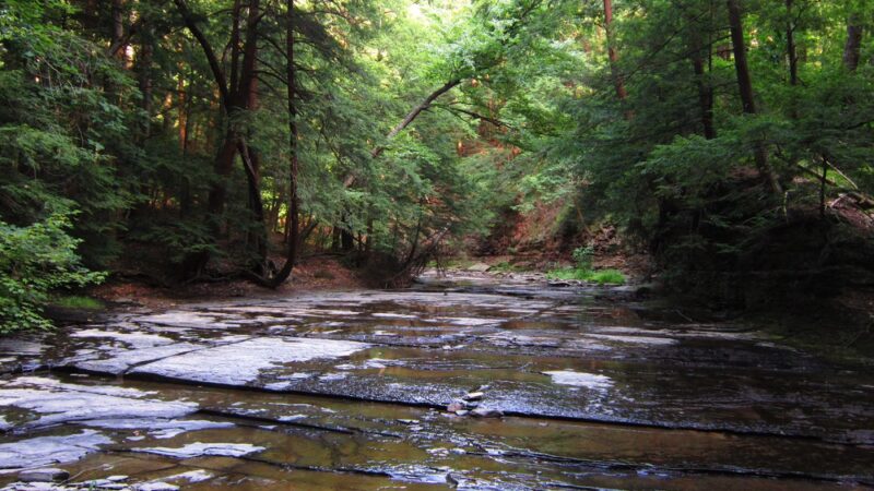 Franklin Gulf Park TH - North Collins, NY