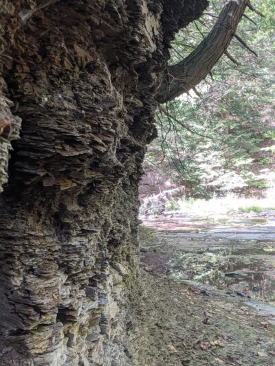 Franklin Gulf Park TH - North Collins, NY