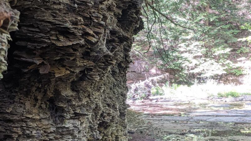 Franklin Gulf Park TH - North Collins, NY