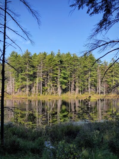 Green Hills Preserve - North Conway, NH