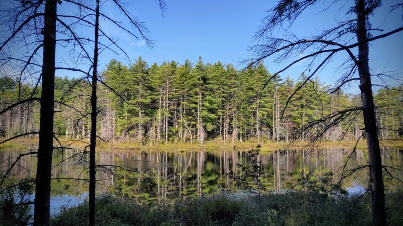 Green Hills Preserve - North Conway, NH