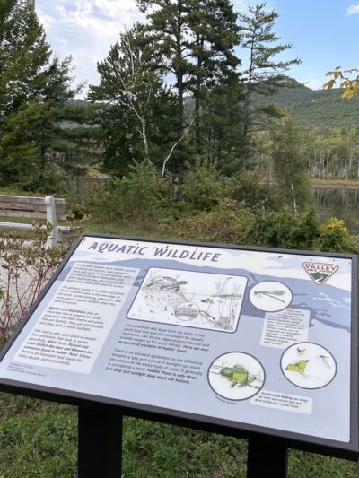 Mount Washington Valley Rec Path Trailhead - North Conway, NH