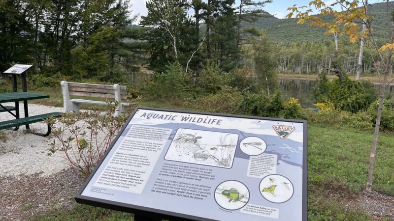 Mount Washington Valley Rec Path Trailhead - North Conway, NH