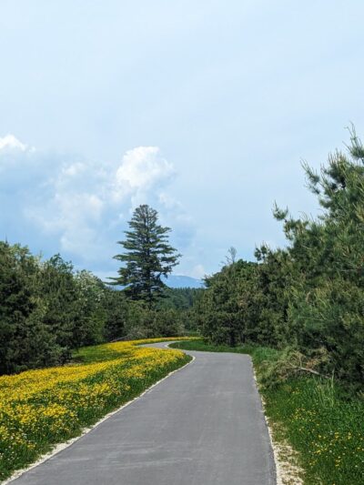 Mount Washington Valley Rec Path Trailhead - North Conway, NH