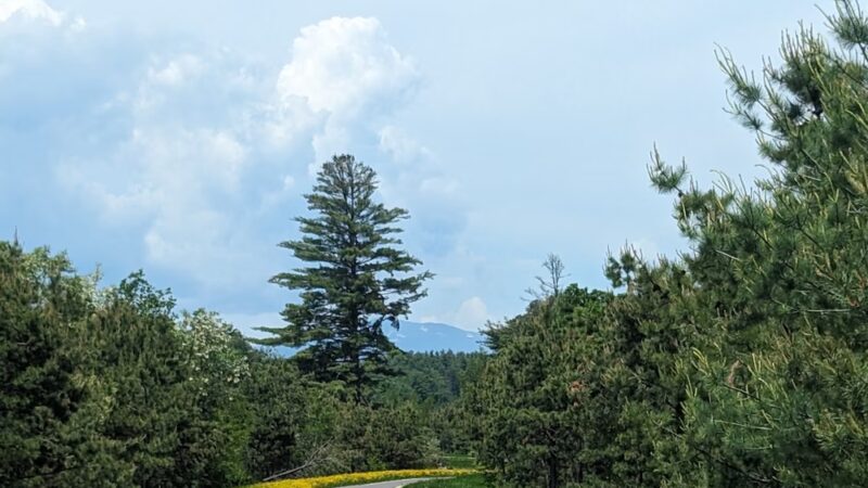 Mount Washington Valley Rec Path Trailhead - North Conway, NH