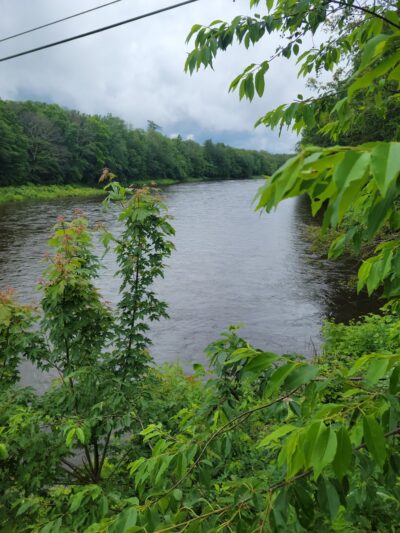 Smith-Eastman Park - North Conway, NH