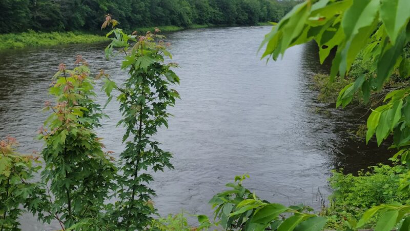 Smith-Eastman Park - North Conway, NH