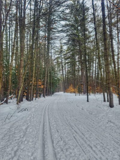 Whitaker Woods - North Conway, NH