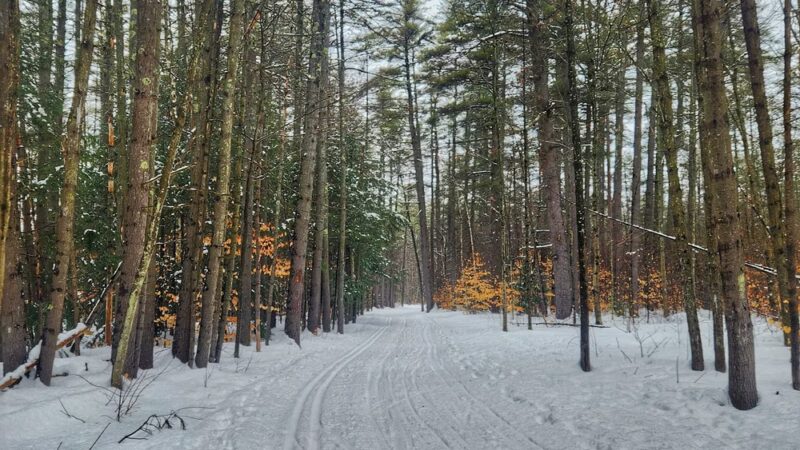 Whitaker Woods - North Conway, NH