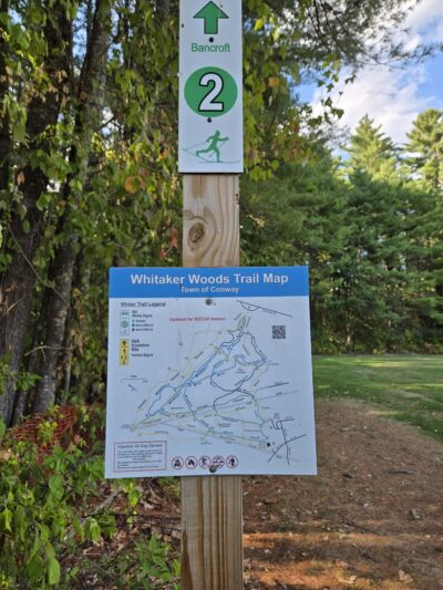 Whitaker Woods - North Conway, NH