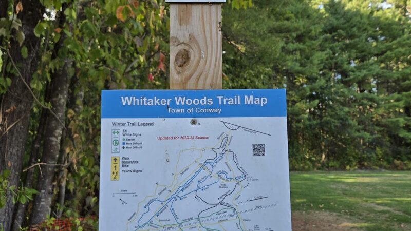 Whitaker Woods - North Conway, NH