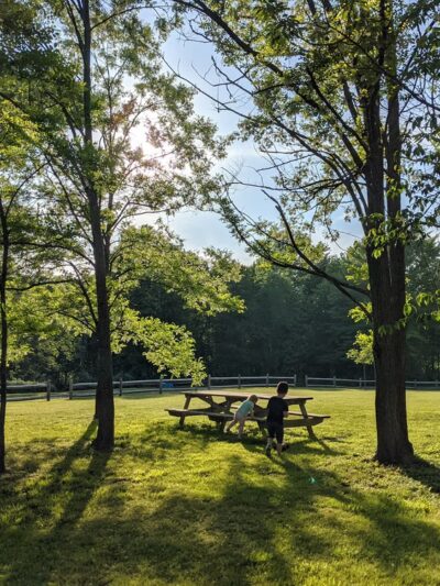 Freeport Beach Park - North East, PA