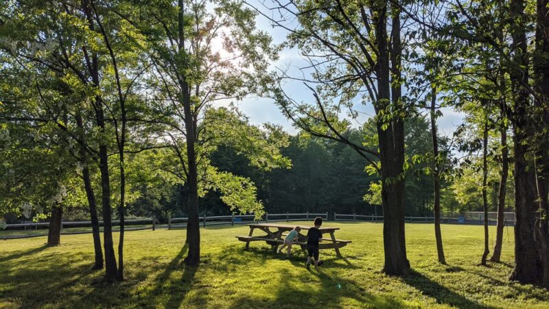 Freeport Beach Park - North East, PA
