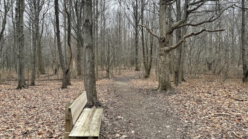 Freeport Beach Park - North East, PA