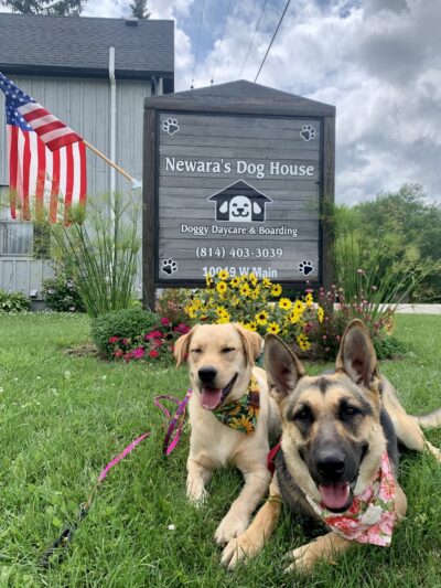 Newara's Dog House - North East, PA