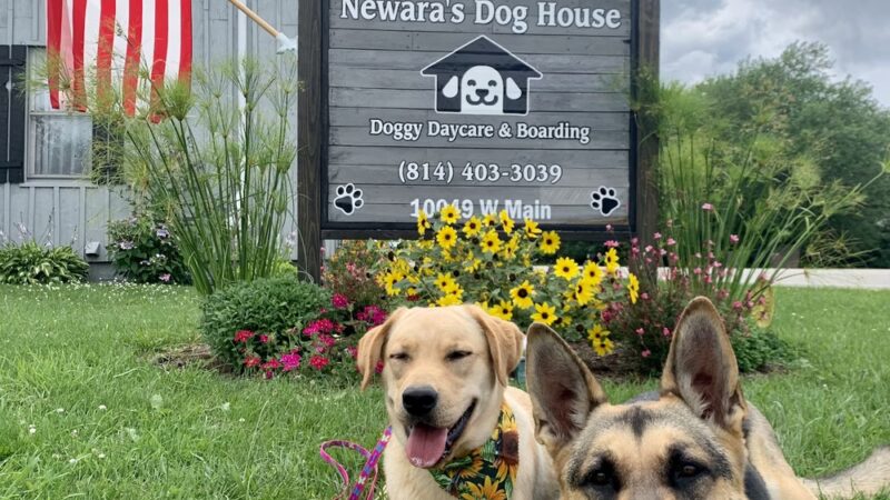 Newara's Dog House - North East, PA