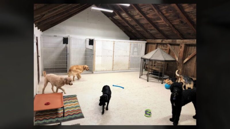 Newara's Dog House - North East, PA