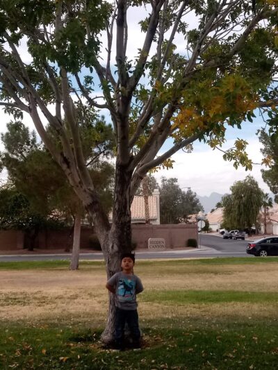 Cheyenne Ridge Park - North Las Vegas, NV