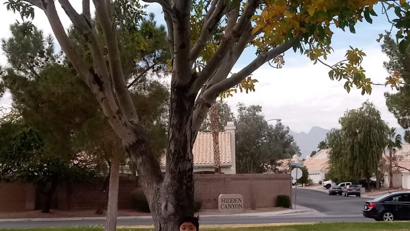 Cheyenne Ridge Park - North Las Vegas, NV