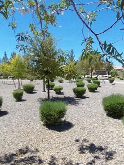 Teal Pedals Park - North Las Vegas, NV