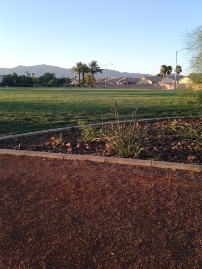 Tierra De Palmas Park - North Las Vegas, NV