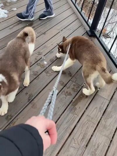 Bluff Park - North Mankato, MN