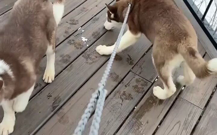 Bluff Park - North Mankato, MN