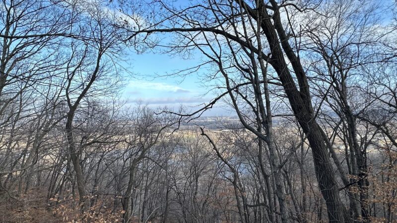 Bluff Park - North Mankato, MN