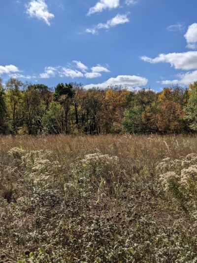 Bluff Park - North Mankato, MN