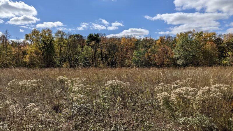 Bluff Park - North Mankato, MN